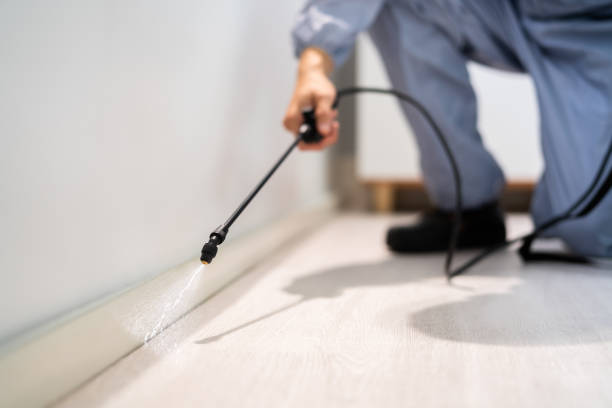 Best Local Pest Control Services  in Houghton, MI