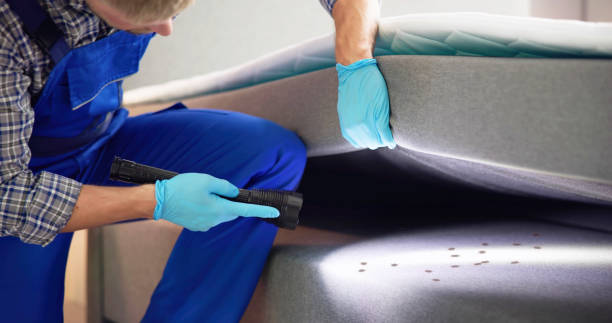 Pest Prevention Services in Houghton, MI